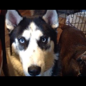 Meet your Posher, Philip